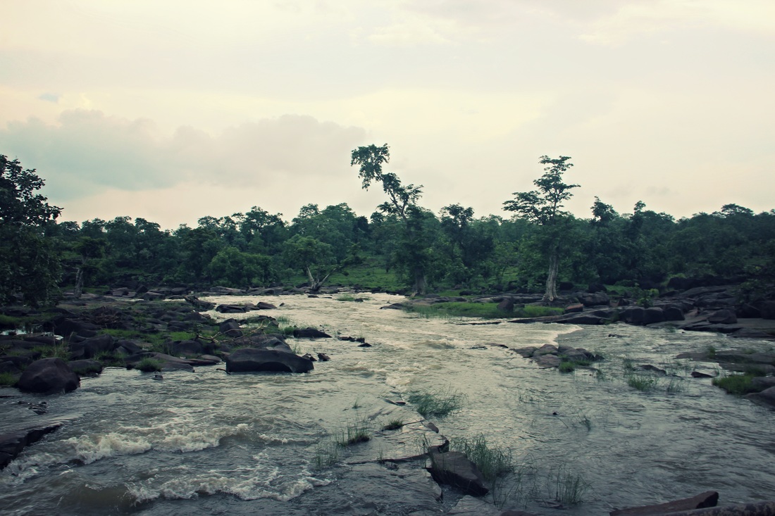 A rocky river running through the forest
