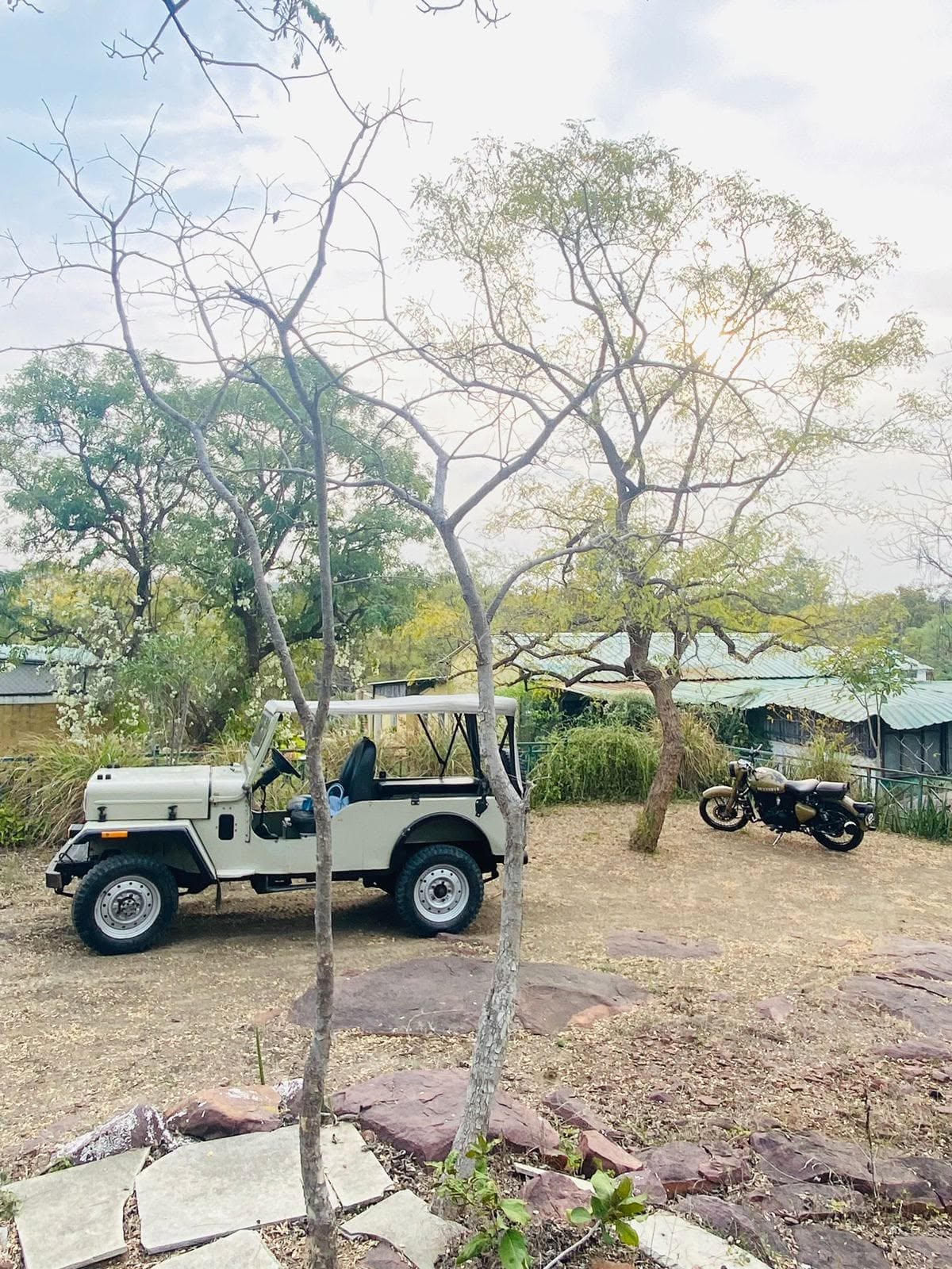 Jeep and motorcycle parked under tall trees