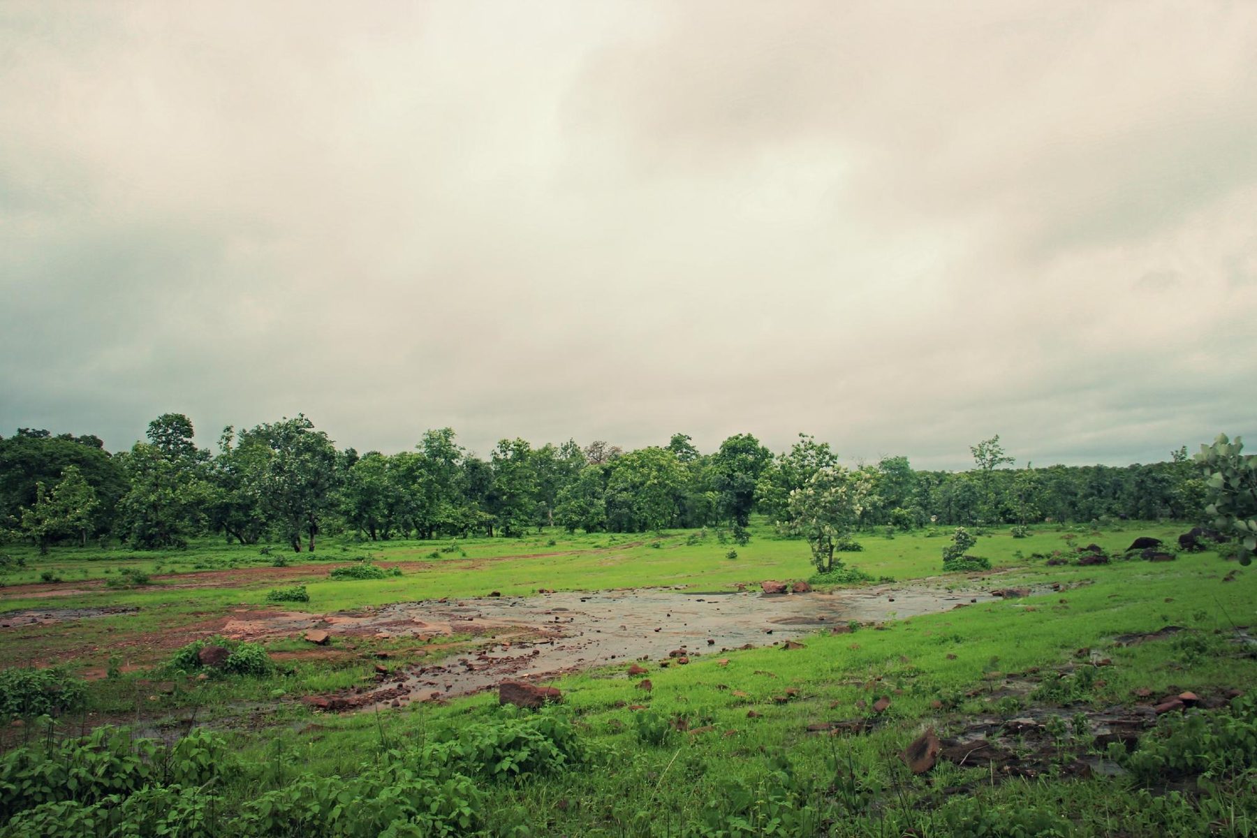 Open meadow and rocky stream in front of the retreat