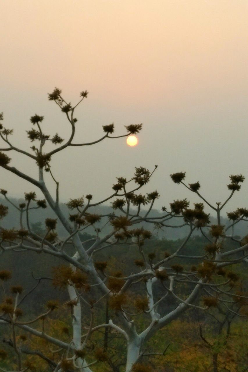 Dusk falling over the landscape at the retreat