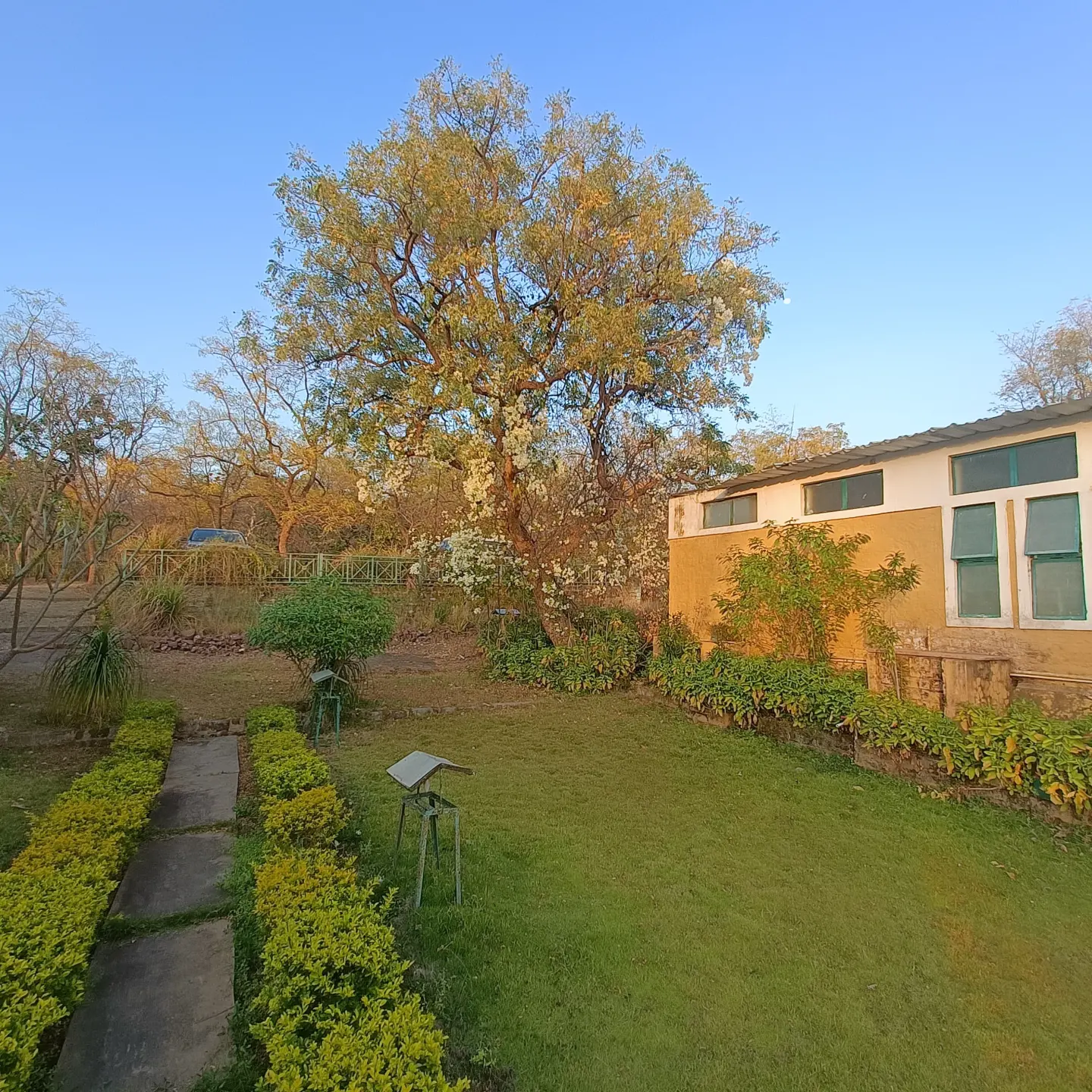 Lawn pathway leading to the retreat