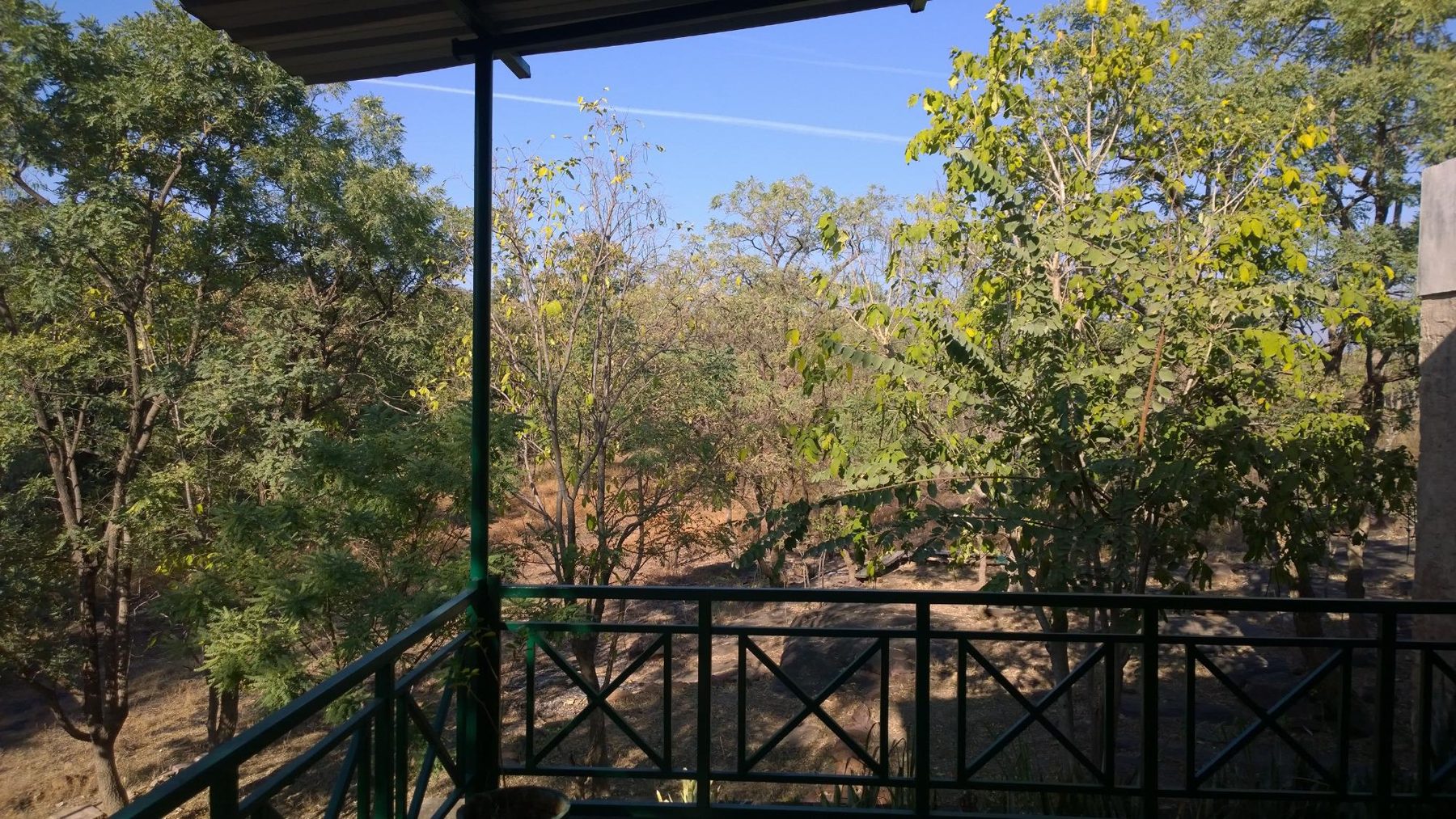 Verandah sit-out looking into the forest