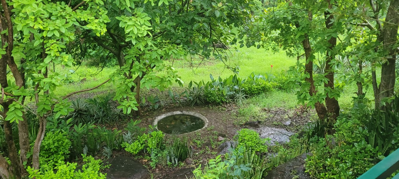Old stone well set among the estate's garden beds