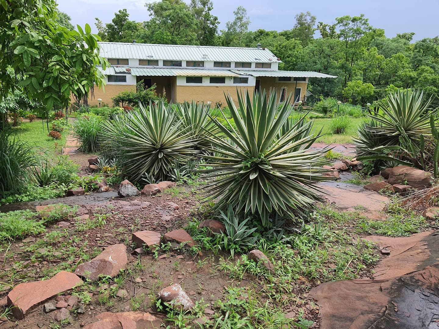 Rock and agave garden in front of the retreat building