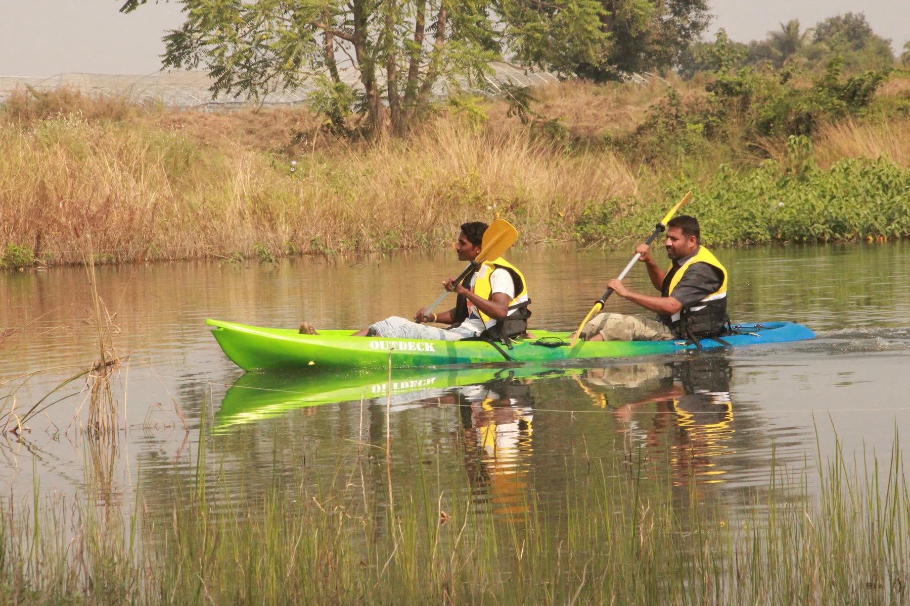 Kayaking on the open water beside the forest edge
