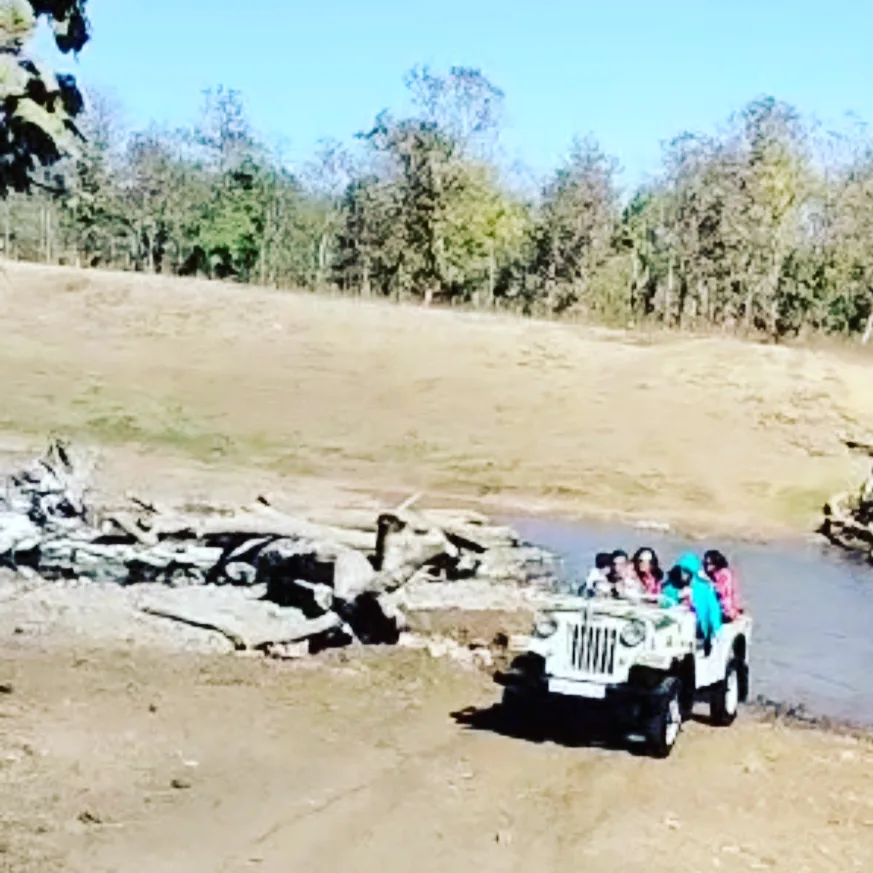 Open safari jeep crossing a shallow river