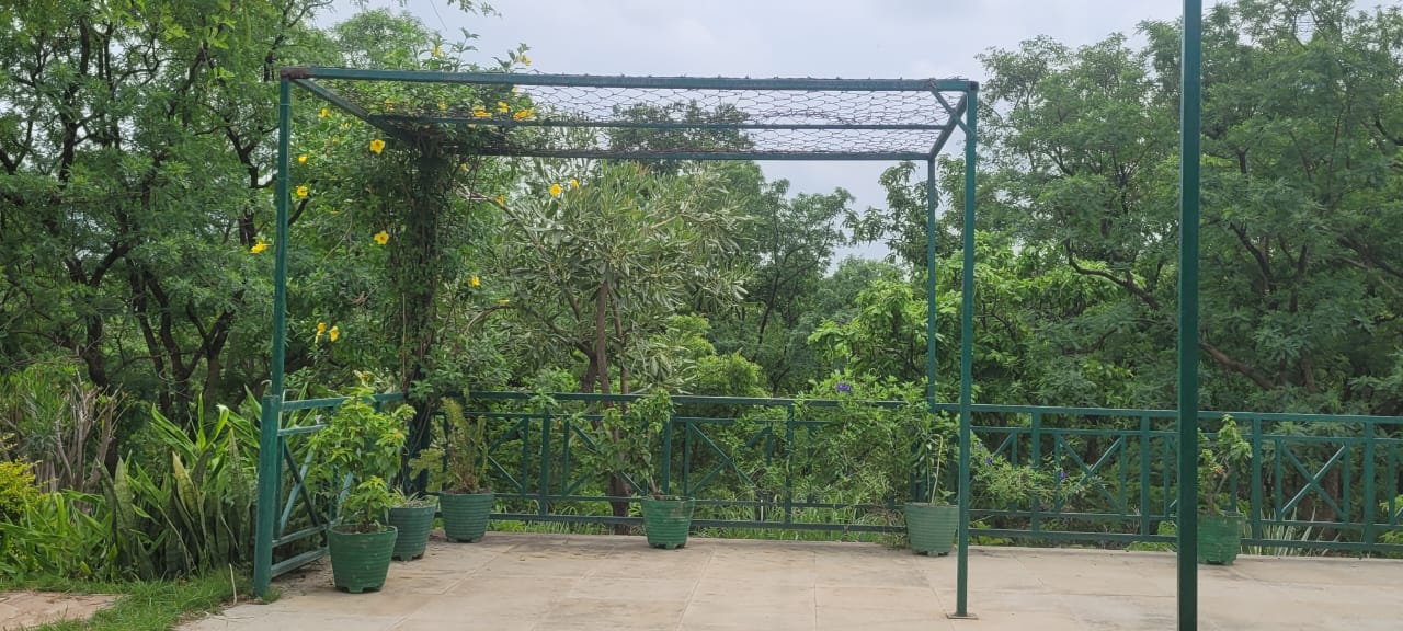 Green pergola and potted plants on the forest-facing terrace