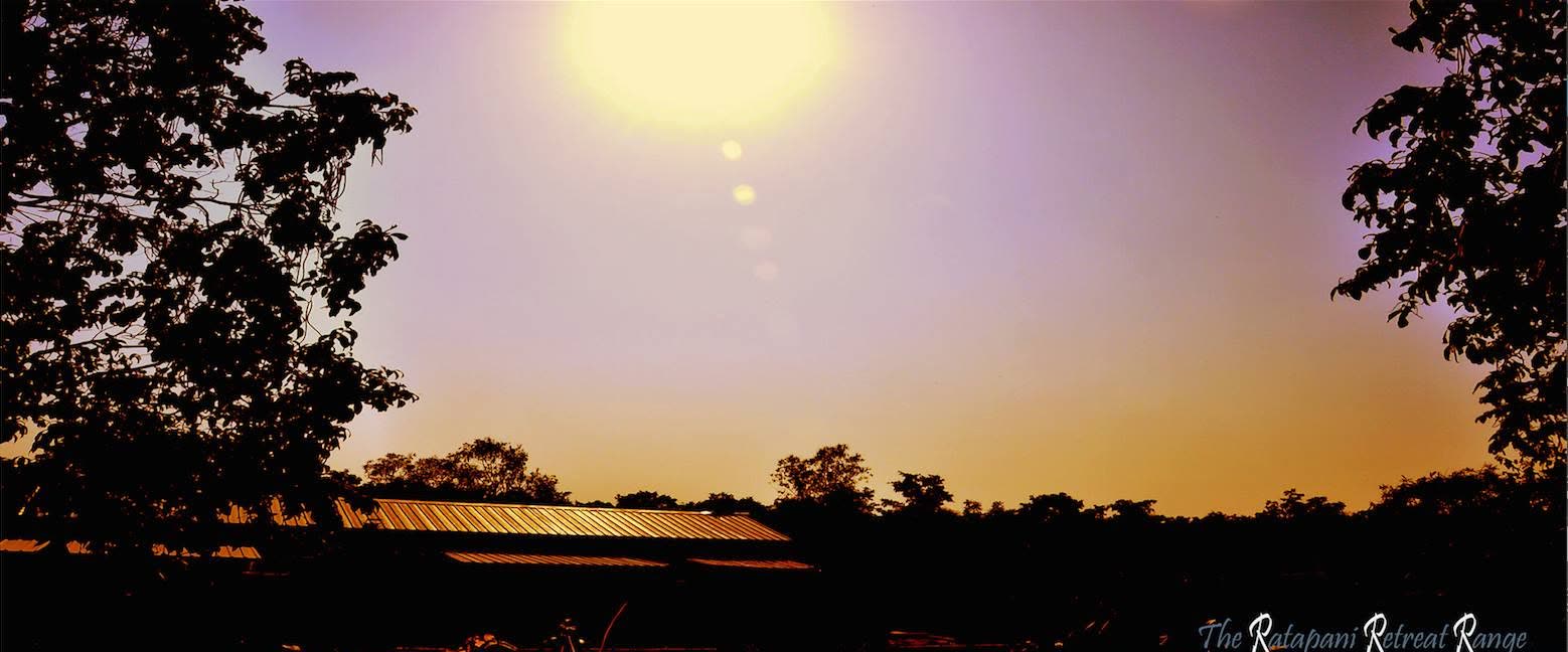 Trees silhouetted against a glowing Ratapani sunset