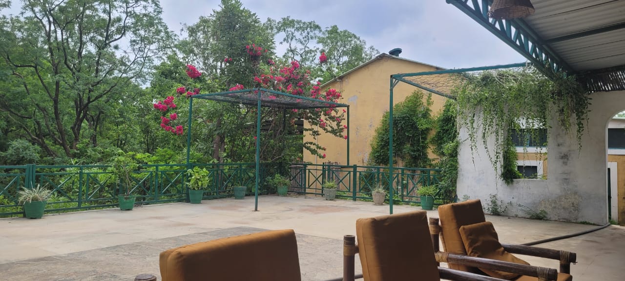 Cushioned lounge chairs on the verandah terrace