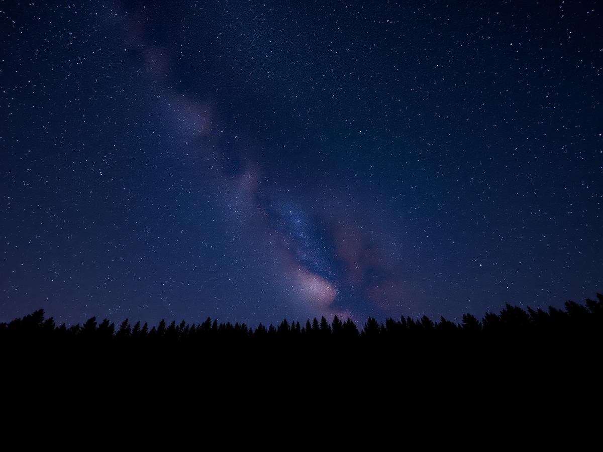 Milky way above the treeline